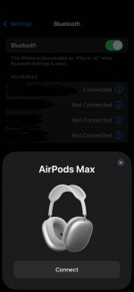 Airpod Max