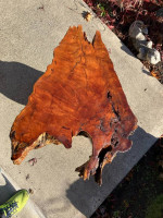Beautiful old growth live edge table