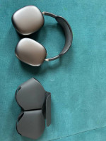 Apple Headphones