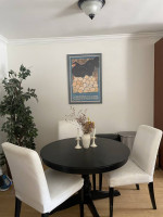 Ikea Dining Table and 4 Chairs