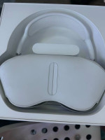 silver airpods max