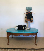 Horse Coffee Table
