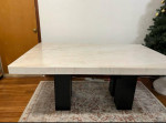 Camila 70" Rectangle Marble Dinning table set