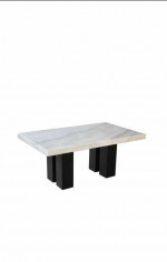 Camila 70" Rectangle Marble Dinning table set