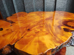 Live edge masterpiece maple burl wood coffee table luxury home decor