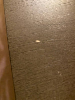 Brand new solid wood dining table