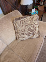 Matching sleeper sofa and loveseat