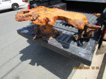 Burl wood coffee table