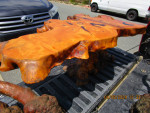 Burl wood coffee table