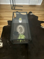 Coffee table set