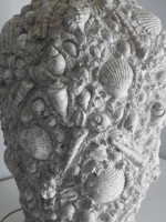 Tromp l'Oeil Large Fossil Shell Table Lamp