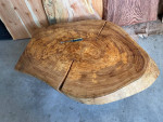 Elm Circle Cookie Cut Live Edge Colorado Table 4.25” Thick