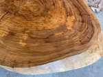 Elm Circle Cookie Cut Live Edge Colorado Table 4.25” Thick