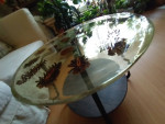 Custom Pinecone Resin Table by LA artist