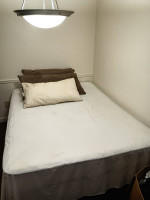 Multiple Comfy Body Pillows + Sofa Cushions/Pillows