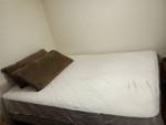Multiple Comfy Body Pillows + Sofa Cushions/Pillows