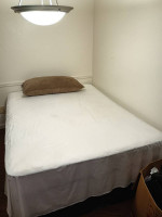 Multiple Comfy Body Pillows + Sofa Cushions/Pillows
