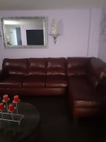 Sectionals sofa's