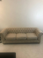 Beige/light gray luxury tufted sofa couch