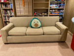 sleeper sofa-Crate and Barrel sofa bed