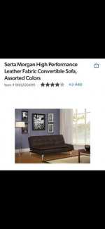Sleeper Sofa