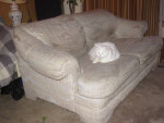 70" SOFA Allan White 2 Cushion