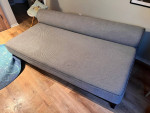 Sleeper Sofa Twin/queen DWR