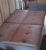 sleeper sofa