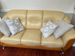 Living Room Sofa + Throw Pillows for Sale!