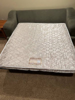 Sleeper Sofa & Love Seat