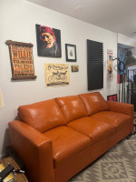 Room and Board Sleeper Sofa
