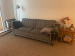 Velvet couch/ sofa bed