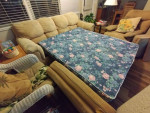 Sleeper Sofa