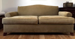 sleeper sofa