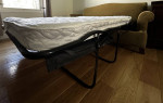 sleeper sofa