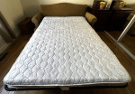 sleeper sofa