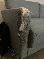 Scratched up sofa