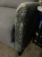 Scratched up sofa