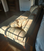 Thomasville Camel Back Sofa