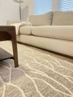 Living room sofa and cofee table