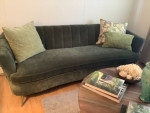 Beautiful velvet sofa