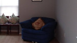 BLUE SOFA BY NATUZZI MADE IN ITALY LIKE NEW
