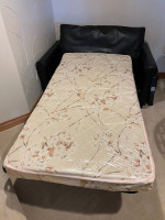 Rocker/recliner and pull out matching twin sofa