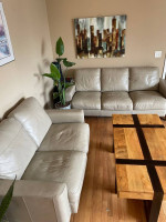 Leather Sofa and Love seat