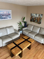 Leather Sofa and Love seat