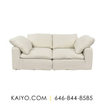 Restoration Hardware Cloud Modular Slipcovered Sofa (Was 4520)