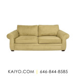 Pottery Barn Pearce Roll Arm Sleeper Sofa (Was 2799)