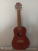 Ukulele