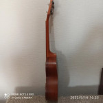 Ukulele