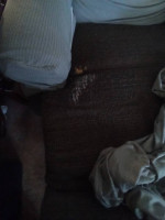 Reclining sofa & 2 rocker recliners